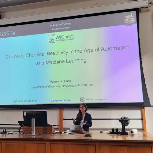 Lecture, Large Screen, Woman presenting